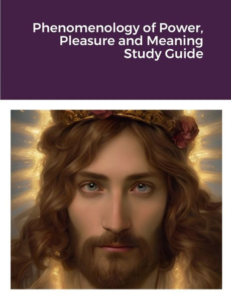 Phenomenology Of Power, Pleasure And Meaning Study Guide