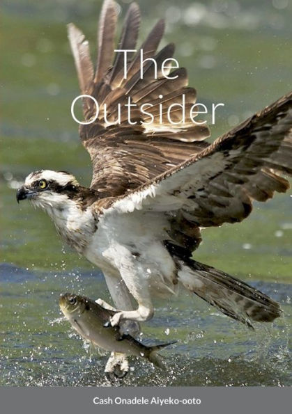 The Outsider - 9781387547746