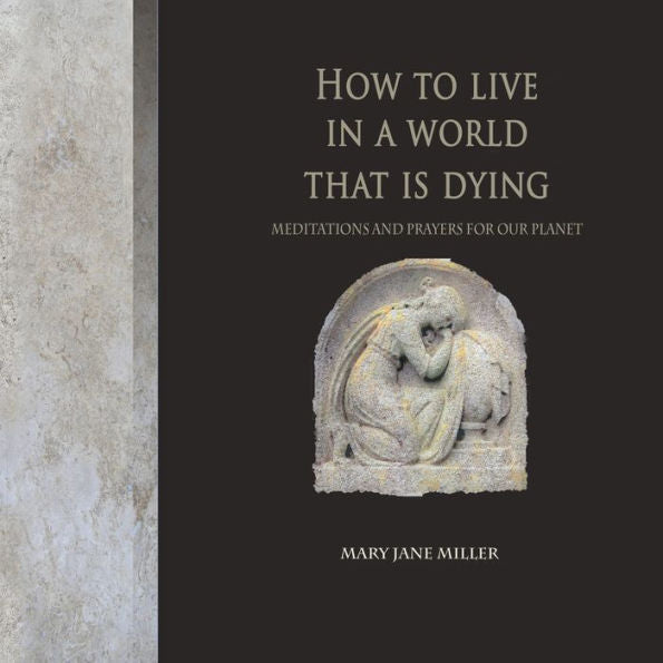 How To Live In A World That Is Dying: Meditations And Prayers For Our Planet