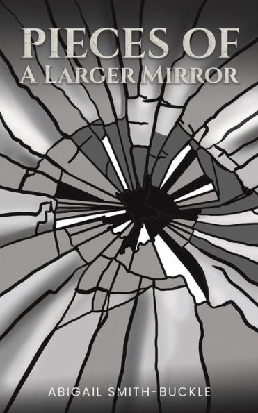 Pieces Of A Larger Mirror