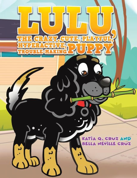 Lulu, The Crazy, Cute, Playful, Hyperactive, Trouble-Making Puppy