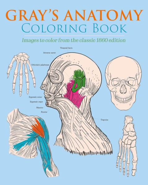 Gray'S Anatomy Coloring Book: Images To Color From The Classic 1860 Edition (Sirius Creative Coloring)