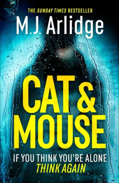 Cat And Mouse (-)