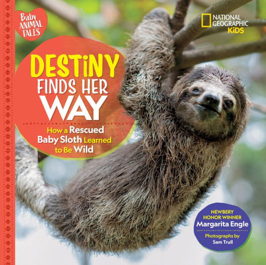 Destiny Finds Her Way: How A Rescued Baby Sloth Learned To Be Wild (Baby Animal Tales)