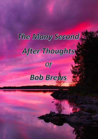 The Many Second After Thoughts Of Bob Brews