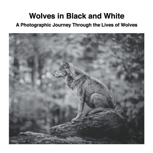 Wolves In Black And White: A Photographic Journey Through The Lives Of Wolves