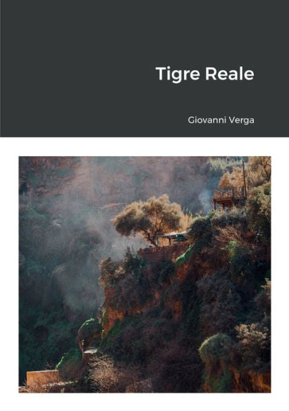 Tigre Reale (Italian Edition)