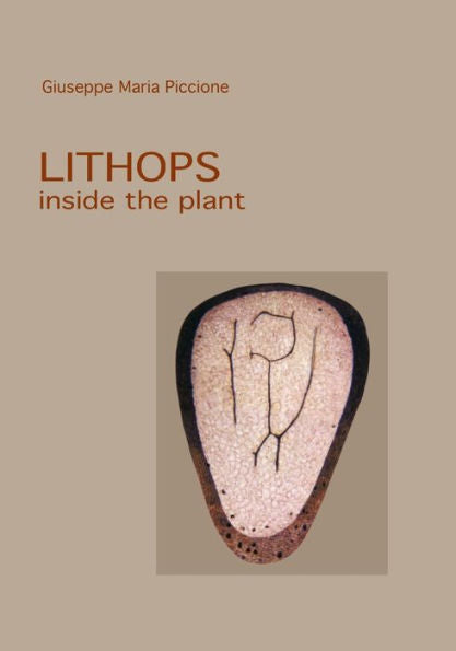 Lithops Inside The Plant