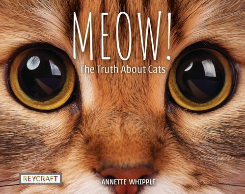 Meow! The Truth About Cats By Annette Whipple | Fun Facts, Photographs, Illustrations, & All Your Questions Answered | Ages 7-10, Grade Level 2-3 | Nonfiction Science & Nature | Reycraft Books