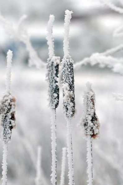 Power For Witnessing