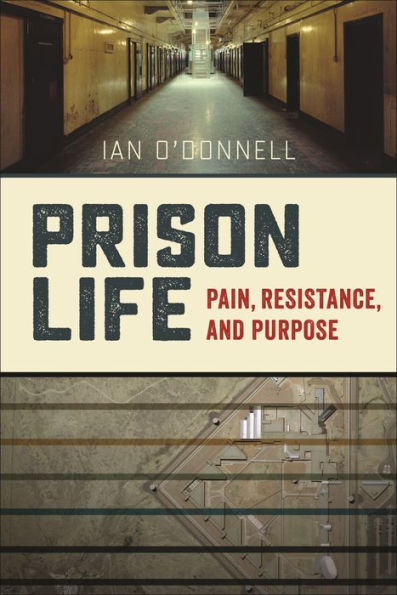 Prison Life: Pain, Resistance, And Purpose