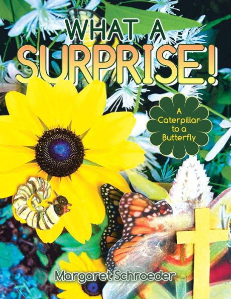 What A Surprise!: A Caterpillar To A Butterfly