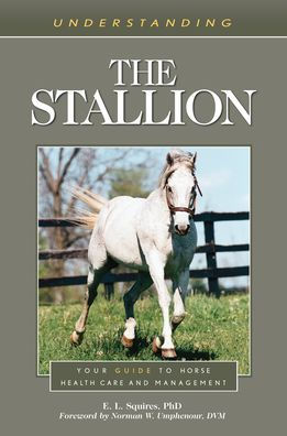 Understanding The Stallion (Understanding Horse Care)