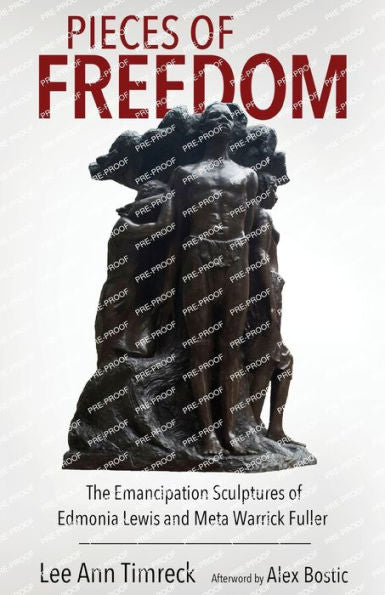 Pieces Of Freedom: The Emancipation Sculptures Of Edmonia Lewis And Meta Warrick Fuller (Margaret Walker Alexander Series In African American Studies)
