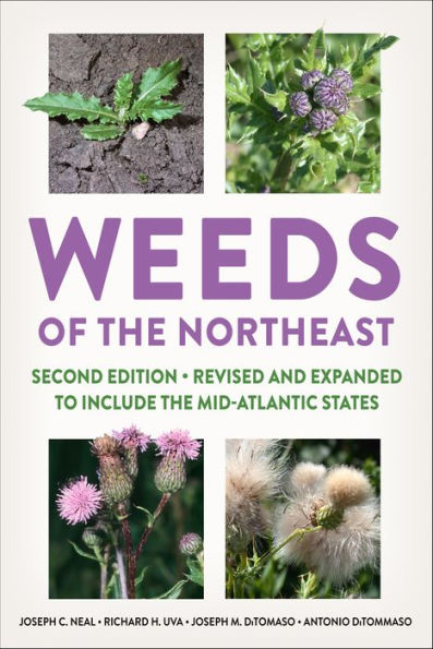 Weeds Of The Northeast