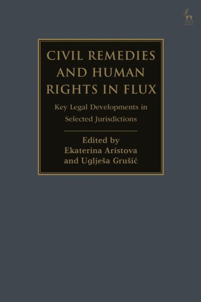Civil Remedies And Human Rights In Flux: Key Legal Developments In Selected Jurisdictions