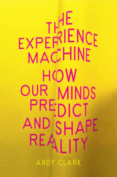 The Experience Machine: How Our Minds Predict And Shape Reality