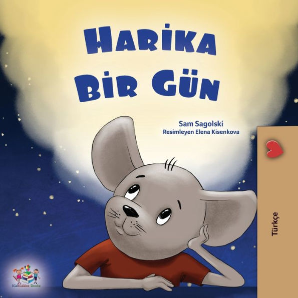 A Wonderful Day (Turkish Book For Children) (Turkish Bedtime Collection) (Turkish Edition)