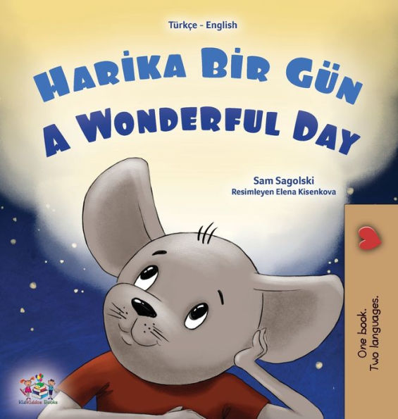A Wonderful Day (Turkish English Bilingual Book For Kids) (Turkish English Bilingual Collection) (Turkish Edition)
