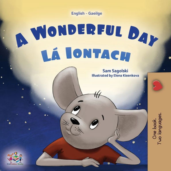 A Wonderful Day (English Irish Bilingual Children'S Book) (English Irish Bilingual Collection) (Irish Edition)