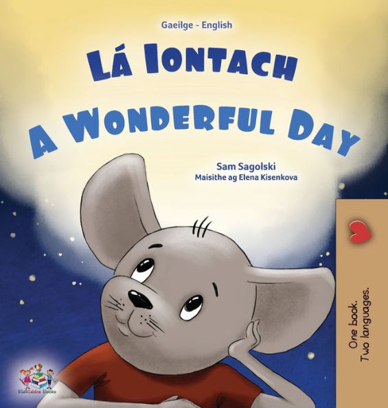 A Wonderful Day (Irish English Bilingual Book For Kids) (Irish English Bilingual Collection) (Irish Edition)
