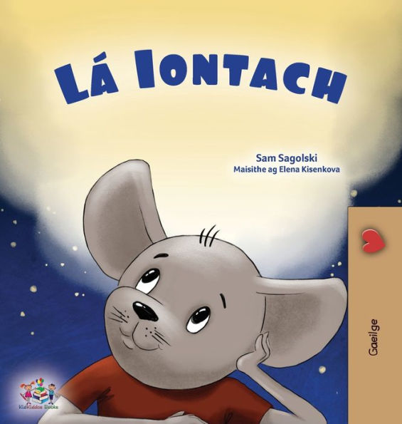 A Wonderful Day (Irish Book For Children) (Irish Bedtime Collection) (Irish Edition)