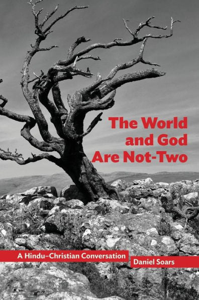 The World And God Are Not-Two: A Hindu–Christian Conversation (Comparative Theology: Thinking Across Traditions, 10)