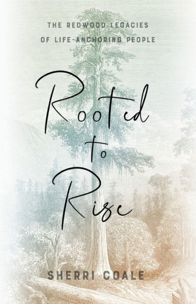 Rooted To Rise: The Redwood Legacies Of Life-Anchoring People - 9781544532653