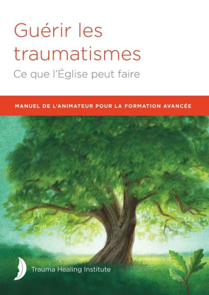 Manuel De L'Animateur Pour La Formation Avancée (French Edition)
