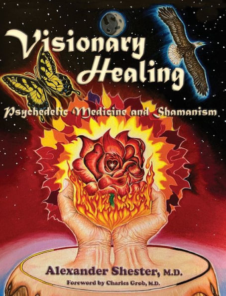 Visionary Healing Psychedelic Medicine And Shamanism - 9781587906367