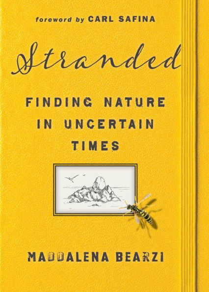 Stranded: Finding Nature In Uncertain Times