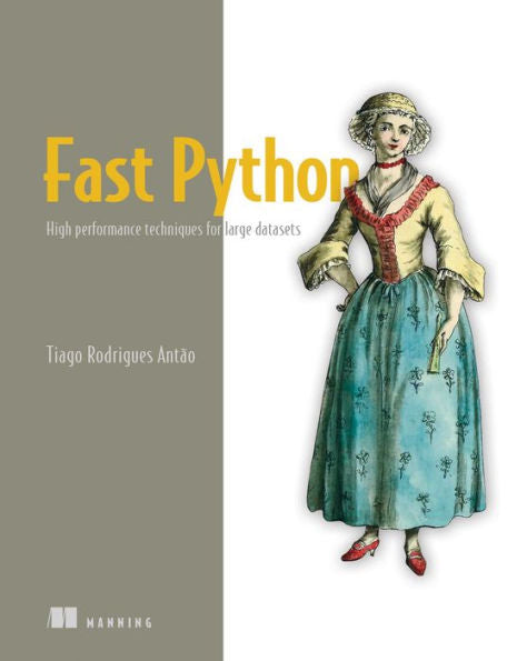 Fast Python: High Performance Techniques For Large Datasets