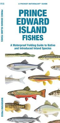 Prince Edward Island Fishes: A Waterproof Folding Guide To Native And Introduced Freshwater Species (Pocket Naturalist Guide)