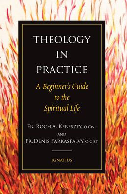 Theology In Practice: A Beginner'S Guide To The Spiritual Life
