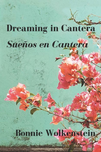 Dreaming In Cantera / Sueños En Cantera