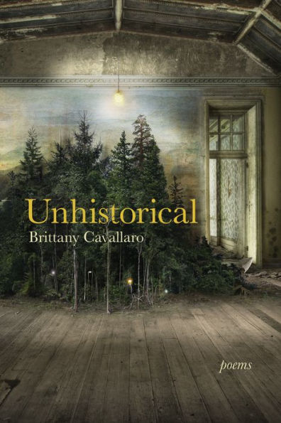 Unhistorical: Poems (Akron Series In Poetry)