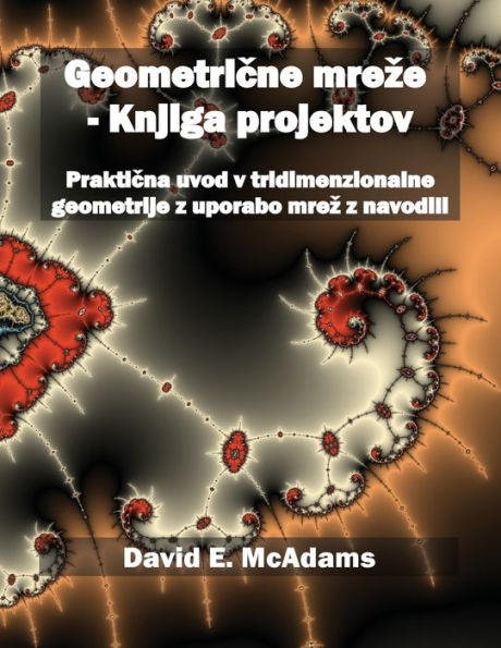 Geometricne Mreze - Knjiga Projektov: Prakticna Uvod V Tridimenzionalne Geometrije Z Uporabo Mrez Z Navodili (Slovene Edition)