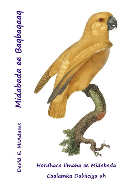 Midabada Ee Baqbaqaaq: Hordhaca Ilmaha Ee Midabada Caalamka Dabiiciga Ah (Midabada Dunida Dabiiciga Ah) (Somali Edition)