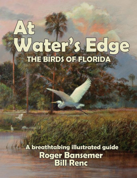 At Water's Edge: The Birds Of Florida