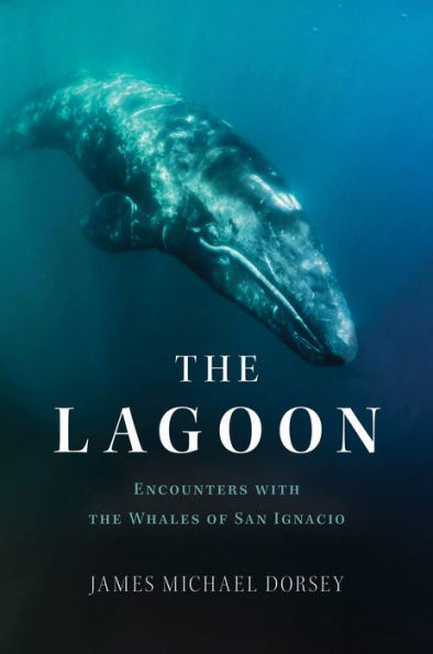The Lagoon: Encounters With The Whales Of San Ignacio