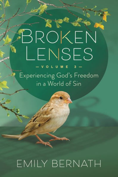Broken Lenses Volume 3: Experiencing God’S Freedom In A World Of Sin