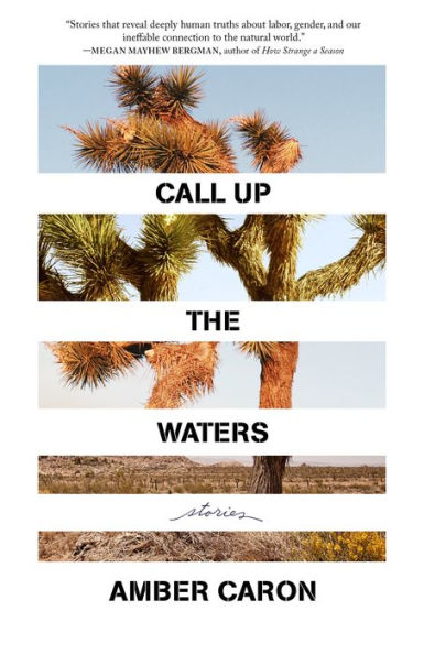Call Up The Waters: Stories