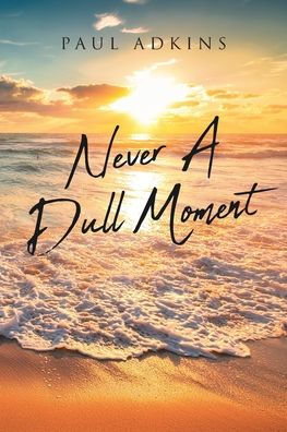 Never A Dull Moment - 9781643492247