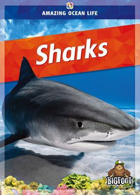 Sharks (Amazing Ocean Life)