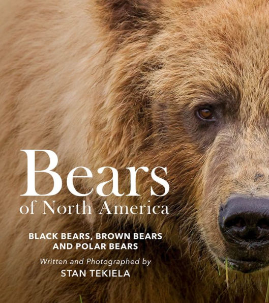 Bears Of North America: Black Bears, Brown Bears, And Polar Bears (Favorite Wildlife)