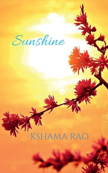 Sunshine - 9781647834524