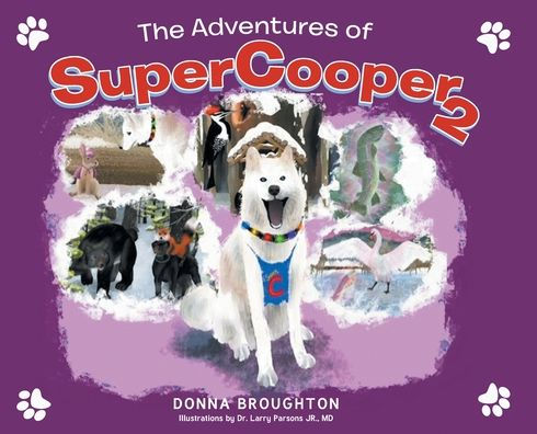 The Adventures Of Supercooper 2