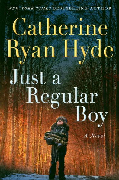 Just A Regular Boy: A Novel