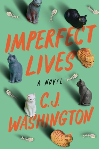 Imperfect Lives: A Novel