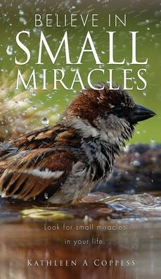 Believe In Small Miracles: Look For Small Miracles In Your Life. - 9781662860058
